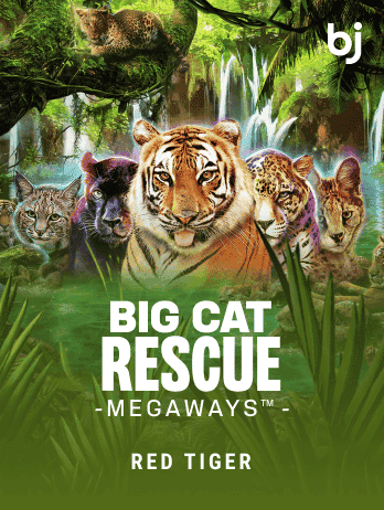Big Cat Rescue Megaways™png screenshot